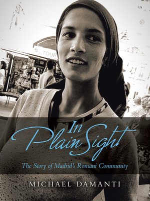 cover image of In Plain Sight